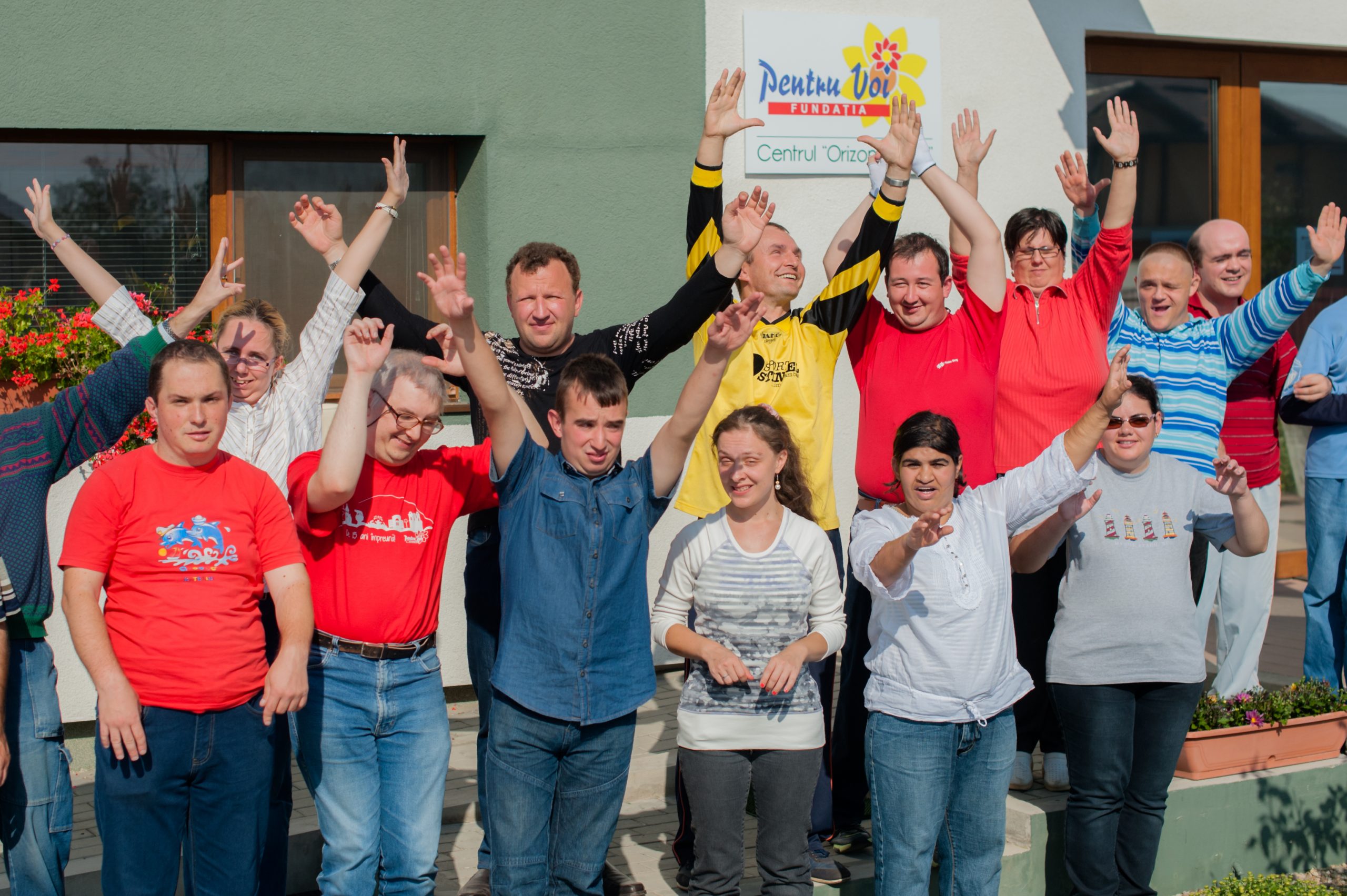 dizabilitatea intelectuala